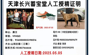 黑王XV8 900023069809679.jpg