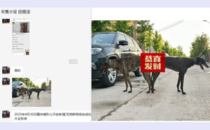 战神X黄诺公主 900115002829716.jpg