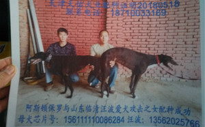 阿斯顿保罗X小攻击 156111110086284，NGQX 611A.jpg