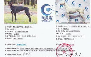 魔法雪碧X白雪公主 941000225080683，BLNZ1.jpg