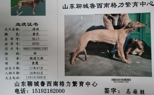 琦琦 900155000013305，HL17HY05