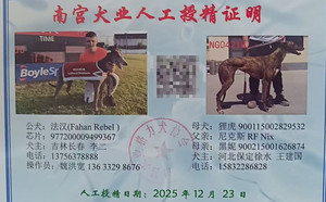 法汉X狸虎 900115002829532，NGXH720BB1.jpg