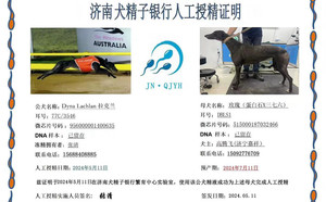 拉克兰X玫瑰 DBLS1，515000187032466.jpg