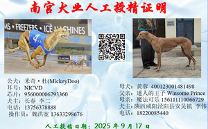 米奇杜X黄蓉 400123001481498.jpg