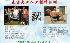 黑王X小妞 988000001880347.jpg