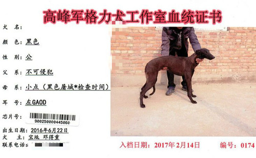 零六零 900250000445060，GAOD