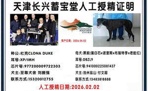 杜克X黑妮 941000225081437，DBZL9.jpg