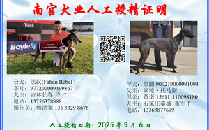 法汉X黑丽900219000991093.jpg