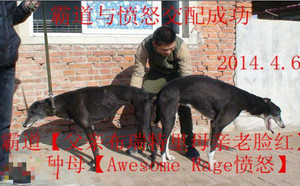 霸道X愤怒 Awesome Rage，900111880089741.jpg