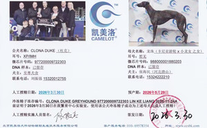 杜克X龙珠988000001880203.jpg