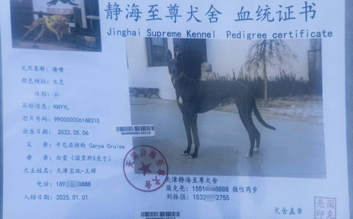 海啸 990000006148315