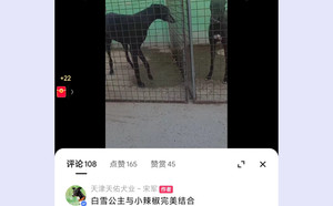 小辣椒X白雪公主 900111880715225，HJWCAWT.jpg