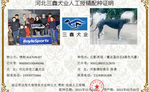 喷射X幻影再现 900128001212870.jpg