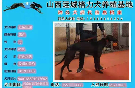 红色里约 900168801047602