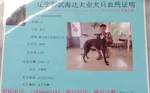 灰狼 990000010037027，HDQY
