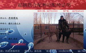 丹纳特龙X小黑 941000015046977.jpg