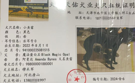 小鱼雷 941000225081515