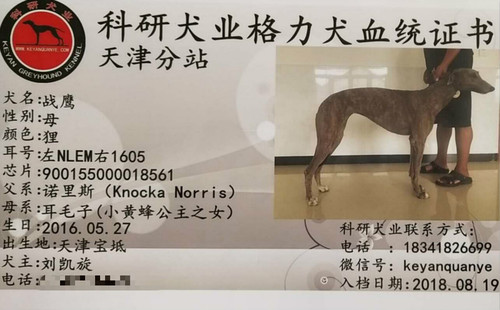 战鹰 900155000018561，NLEM1605