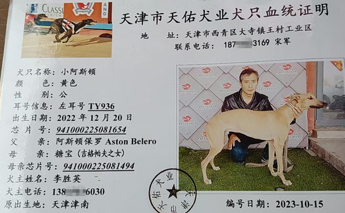 小阿斯顿 941000225081654，TY936