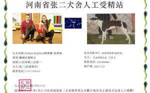 阿斯顿加利利X奶牛 900023069708623，T589Y.jpg