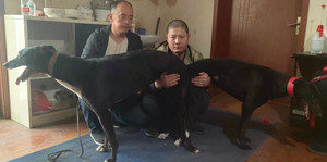 阿斯顿保罗X赶浪少女 DBZL5，515000187032476.jpg