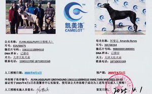 吉格帕夫X阿曼达 Amanda Bynes，36F 68264，988000001880001.jpg