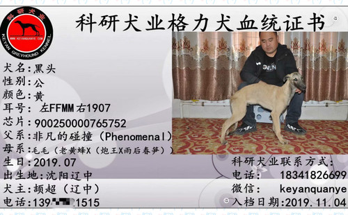 黑头 900250000765752，FFMM1907