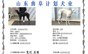计划X火焰 900155000019168.jpg