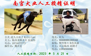 超人小伙子X旺头 988000001880160.jpg