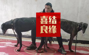 魔法枪X黑栗 900115001743677，NGXH1019AB.jpg
