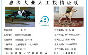 黑王X花无缺994083000000044，咸阳柯旭（2021年8月12日配）.jpg