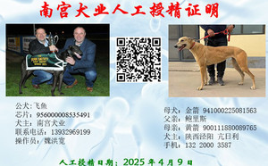 飞鱼X金箭 941000225081563.jpg