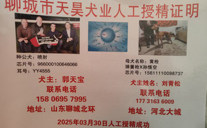 喷射X黄枪 156111110098737，J88A.jpg