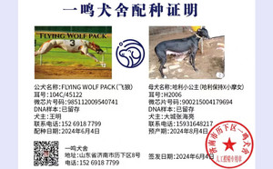 飞狼X哈利小公主 900215004179694.jpg