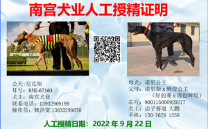 尼克斯X诺里公主 900115000929277.jpg