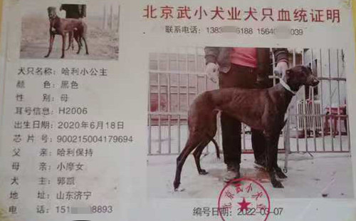 哈利小公主 900215004179694