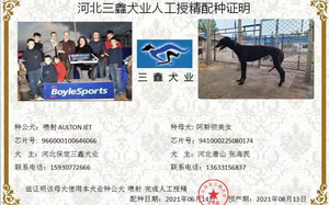 喷射X阿斯顿美女 BLHK3，941000225080174.jpg