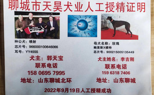 喷射X玫瑰900215005135449，941000225080856.jpg