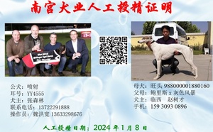 喷射X旺头 988000001880160.jpg