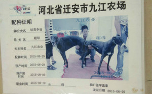 结束争论X超母 Nun's Habit，OAD E095.jpg