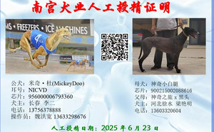 米奇杜X神奇小白腿 900215002088616.jpg