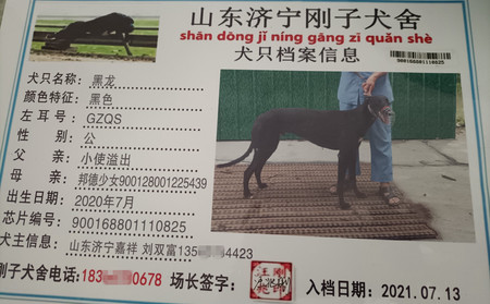 黑龙 900168801110825，GZQS