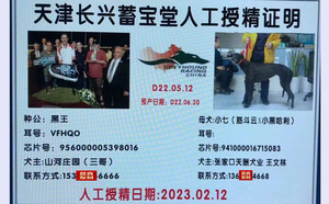 黑王X小七941000016715083.jpg