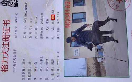 黑神 900115002829486，NGXH321AM1