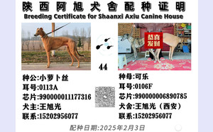 小萝卜丝X可乐 990000006890785.jpg