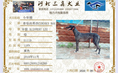 小华丽 S1119 118N，900128001216260