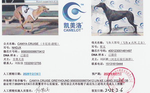 卡尼亚游轮X飞鱼大黑母 400123001481497.jpg