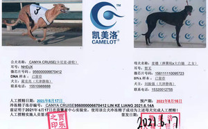 卡尼亚游轮X麦穗儿 156111110095723，静海刘振强（2021年6月17日配）.jpg