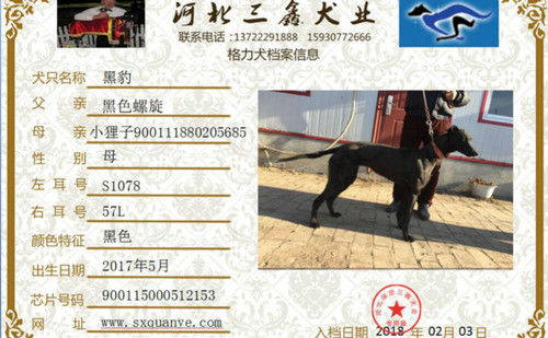 黑豹 900115000512153，S107857L