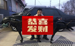 筋斗云X凤凰 900252003028571，KB88D.jpg
